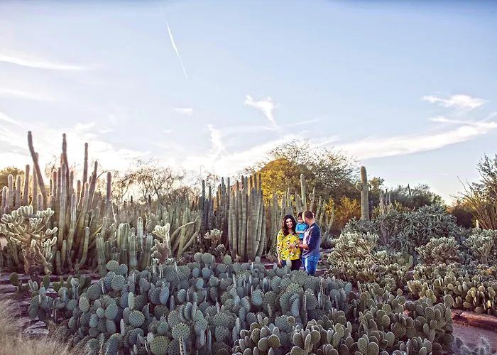 Holiday Inn Express & Suites - Phoenix - Airport North By Ihg