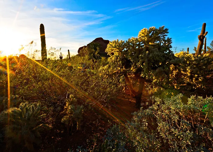 Holiday Inn Express & Suites - Phoenix - Airport North By Ihg